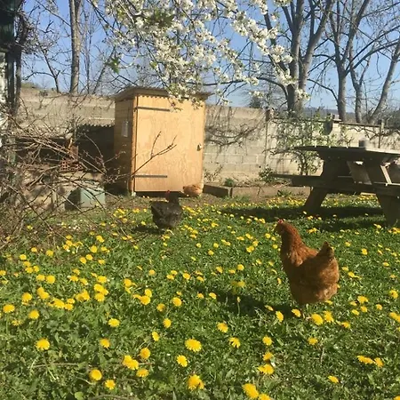 Les Poules Heureuses Bed & Breakfast