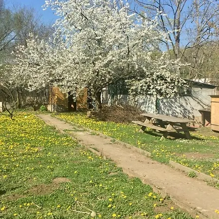 Les Poules Heureuses Bed & Breakfast Issoire