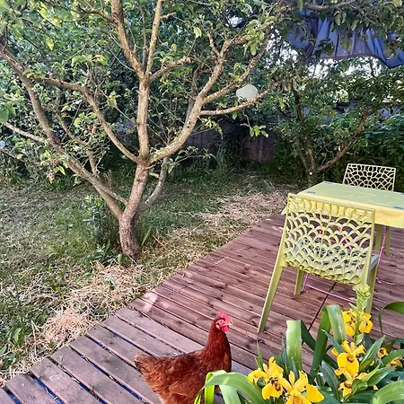Les Poules Heureuses B&B