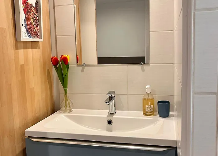 Les Poules Heureuses Bed & Breakfast Issoire